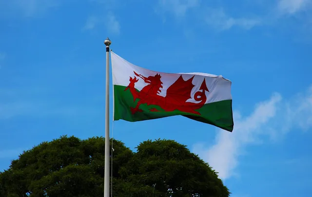welsh flag, pennant, welsh, wales, flag, banner, nation, emblem, country, national, symbol, icon, sign, dragon, insignia, wind, standard, patriotic, ensign, patriotism, official, original, nationality, design, streamer, blue banner, blue dragon, welsh flag, welsh flag, welsh flag, welsh flag, welsh flag, welsh, wales. Welsh-language arts coverage, S4C, Welsh National Opera and bilingual criticism