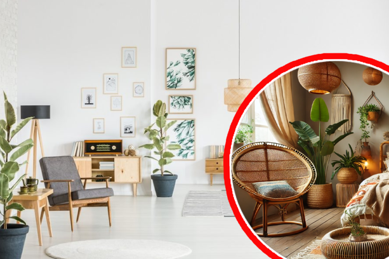 How Push YourDesignCom is Changing the Game for Interior Designers